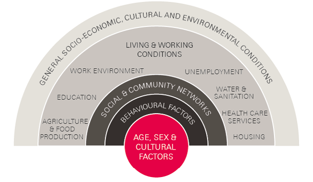 Figure 1: The factors that influence an individual’s health and wellbeing